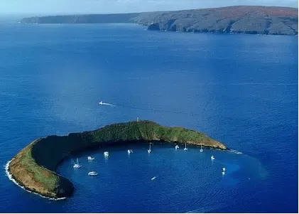 Molokini and Turtle Town Snorkeling Adventure Aboard