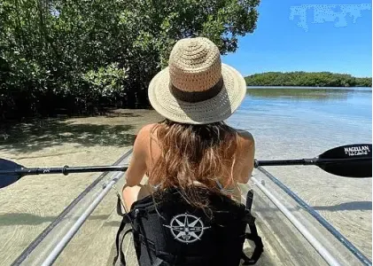 Clear Kayak Tour of Shell Key Preserve and Tampa Bay Area